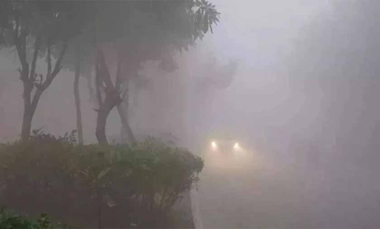 देशभर-में-बढ़ी-ठंड,-imd-ने-mp-राजस्थान-cg-में-शीतलहर-का-रेड-अलर्ट-जारी