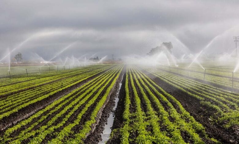 रायपुर : दो सिंचाई योजना के लिए 6.12 करोड़ रुपये स्वीकृत रायपुर-:-दो-सिंचाई-योजना-के-लिए-6.12-करोड़-रुपये-स्वीकृत