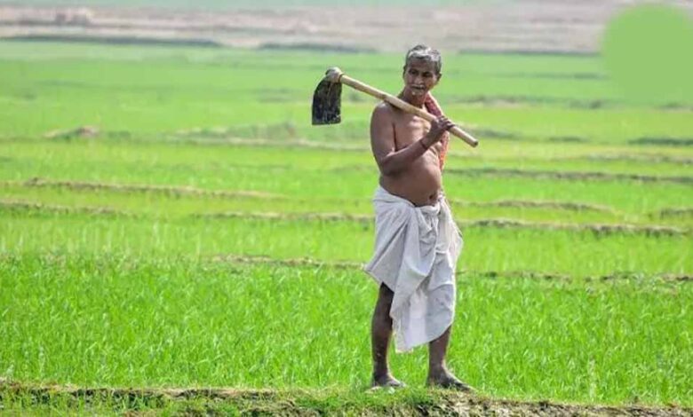 दीनदयाल भूमिहीन कृषि मजदूर कल्याण योजना में पात्र परिवारों को मिलेगी ₹10 हजार की सहायता दीनदयाल-भूमिहीन-कृषि-मजदूर-कल्याण-योजना-में-पात्र-परिवारों-को-मिलेगी-₹10-हजार-की-सहायता