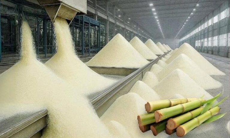 अल-नीनो-और-इथेनॉल-की-दोहरी-मार!-भारत-के-चीनी-एक्सपोर्ट-पर-कई-साल-तक-लग-सकता-है-ब्रेक