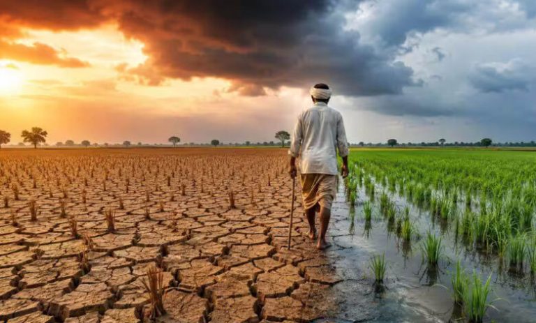 एल-नीनो-का-मानसून-पर-बड़ा-असर,-जून-में-42%-कम-बारिश;-100-साल-का-तीसरा-सबसे-सूखा-महीना
