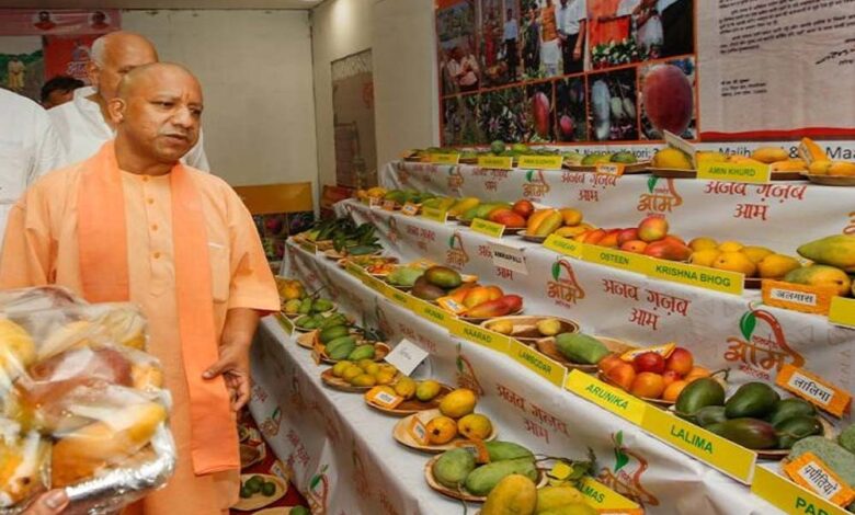 उत्तर-प्रदेश-आम-महोत्सव-2026:-सीएम-योगी-ने-बताया—राज्य-देश-के-26%-आम-उत्पादन-का-केंद्र